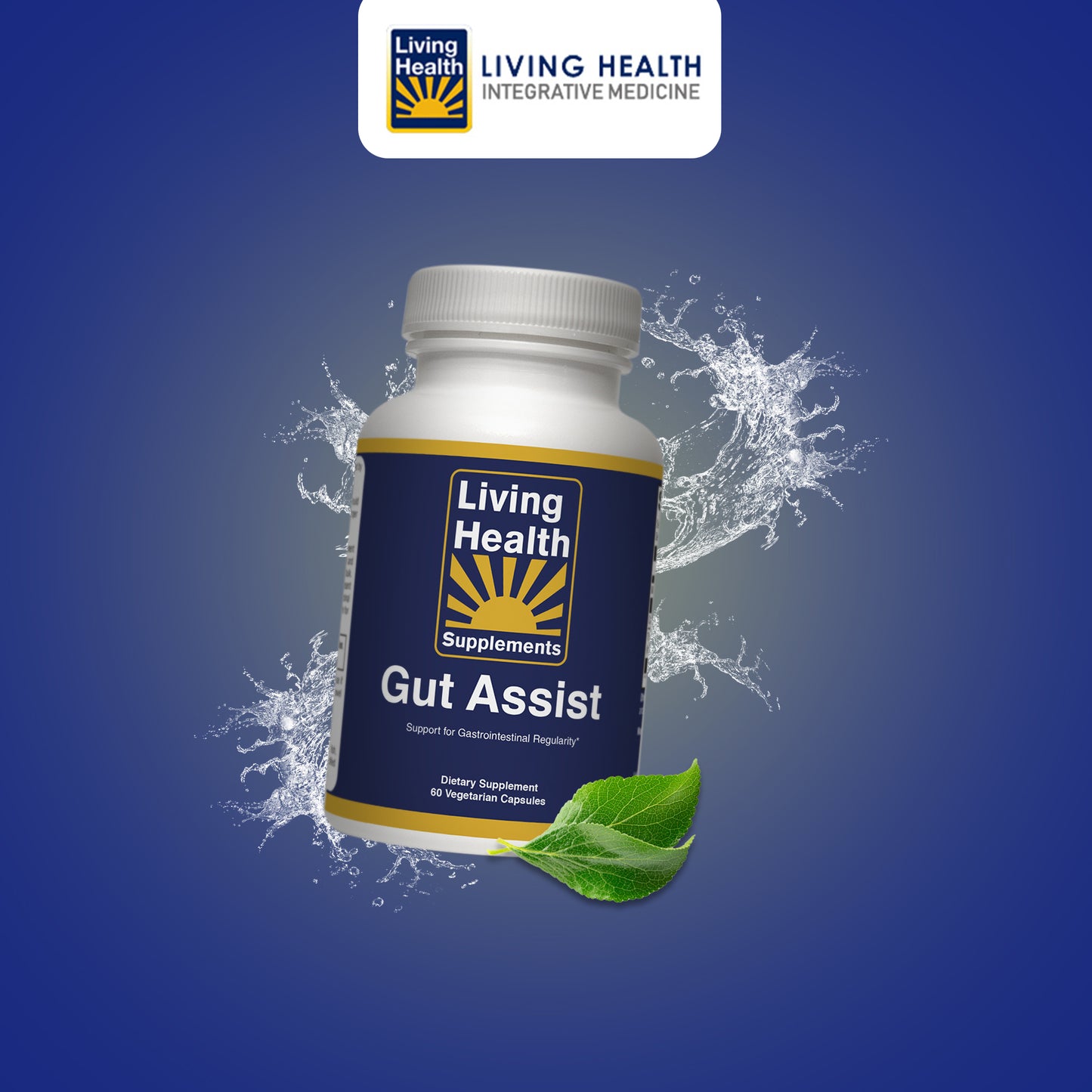 Gut Assist - Living Health Market