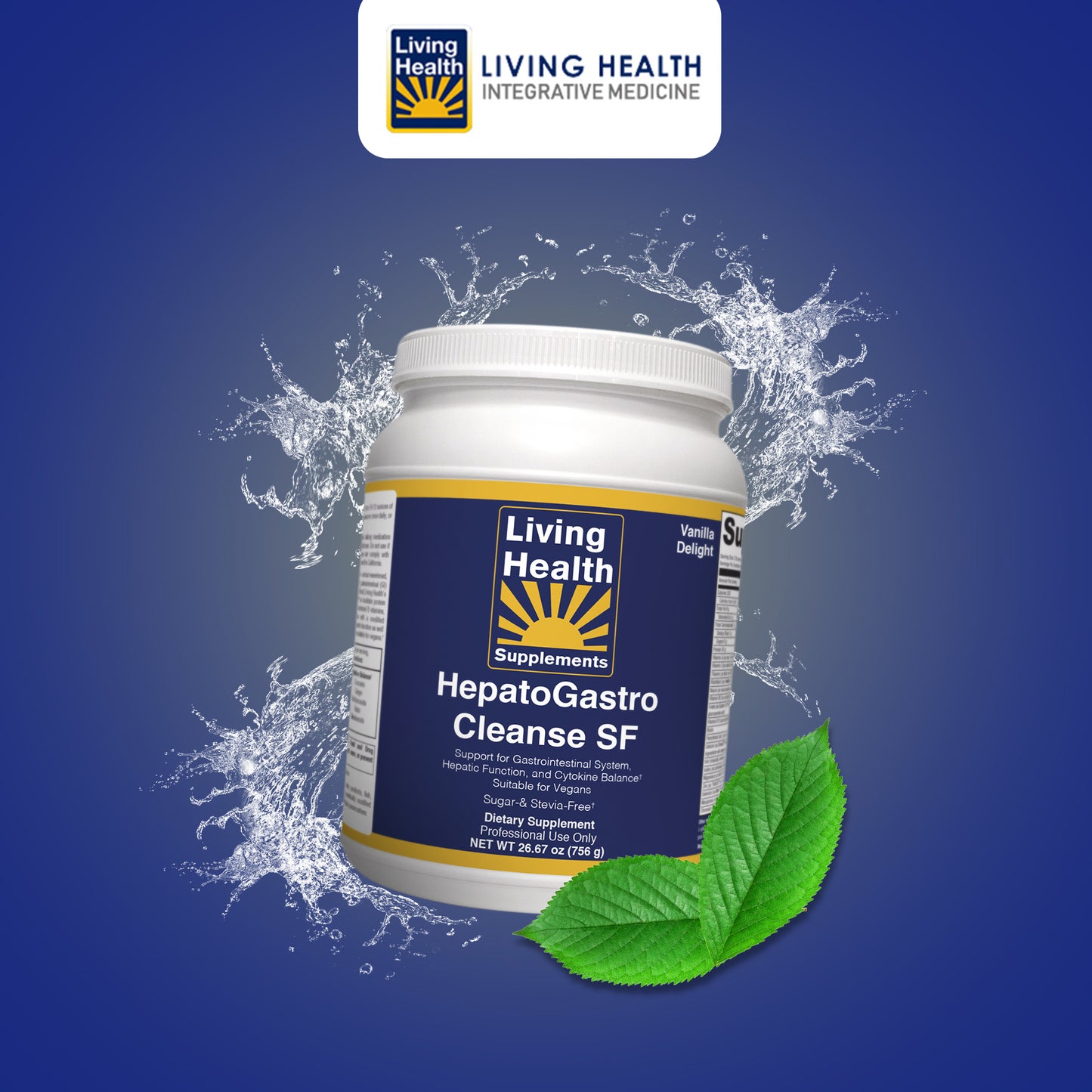 HepatoGastro Sugar Free - Living Health Market