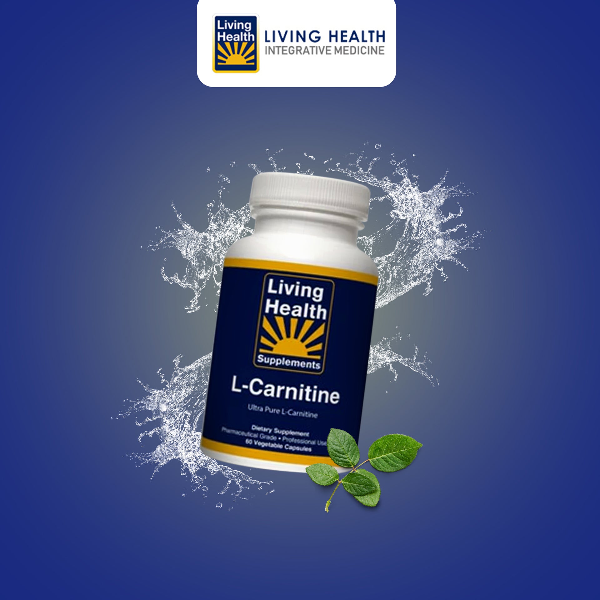 glycine propionyl-l-carnitine powder Pre Workout Carnitine Blend GPLC Supplement Powder